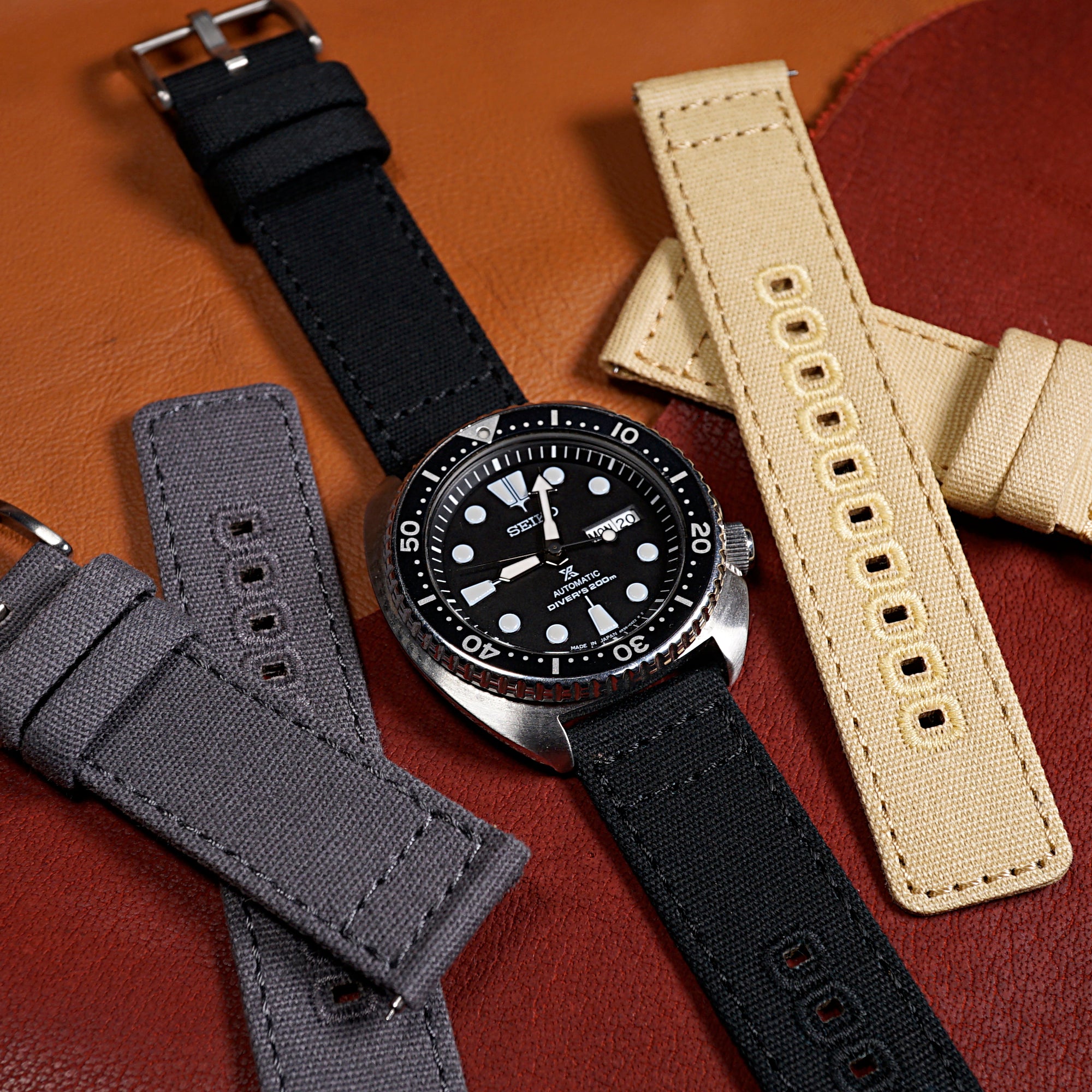 Canvas 2024 watch strap